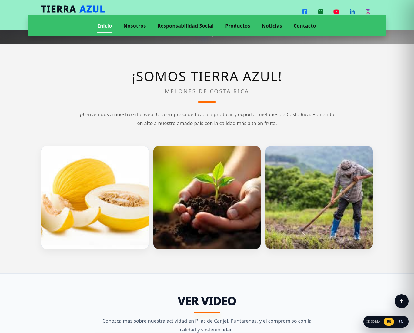 Sitios Web Profesionales
